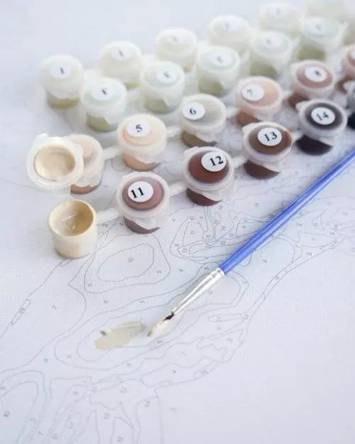 Premium Paint by Numbers “Northern Beauty”