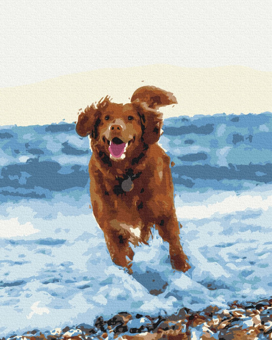 Premium Paint by Numbers “Dog in the Sea”