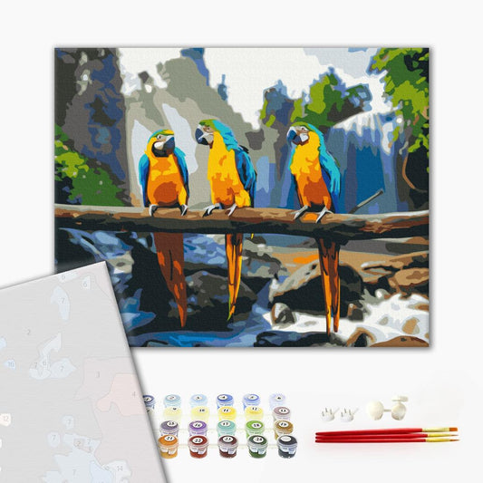 Premium Paint by Numbers “Tropical Macaws”