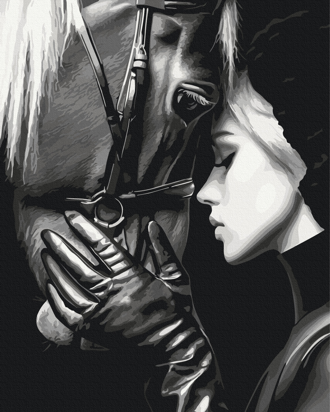 Malen nach Zahlen „Harmonie der Seelen“