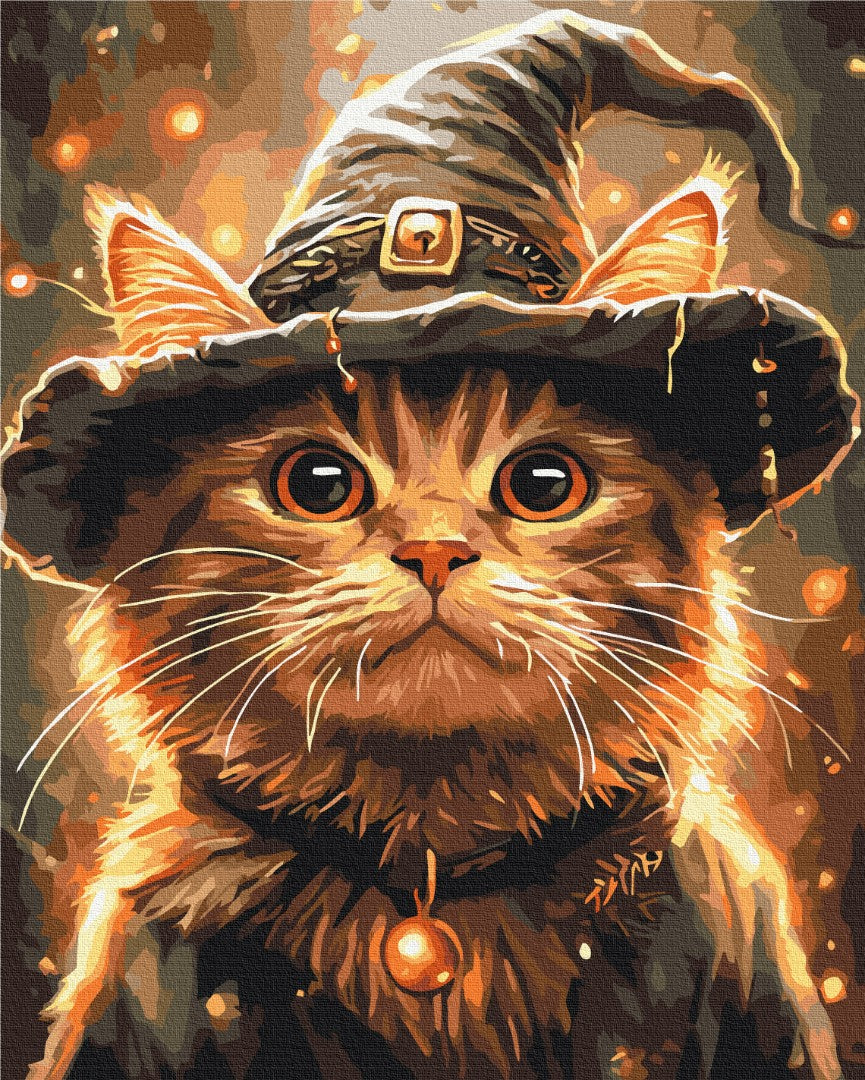 Premium Paint by Numbers “Magician Cat”