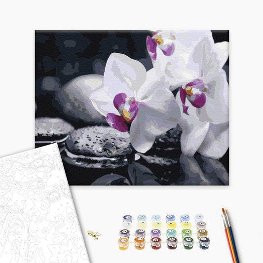 Paint by numbers “Zen Flowers”