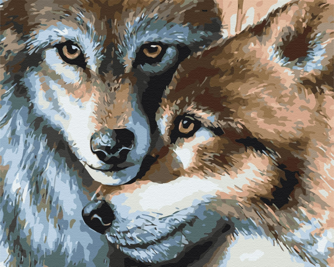 Paint by numbers “Wolf couple”