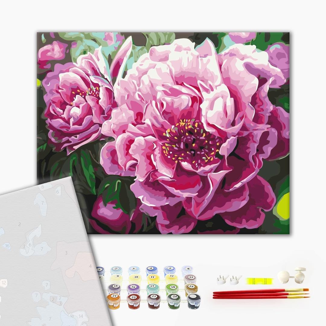Premium Paint by Numbers “Luxurious peonies”