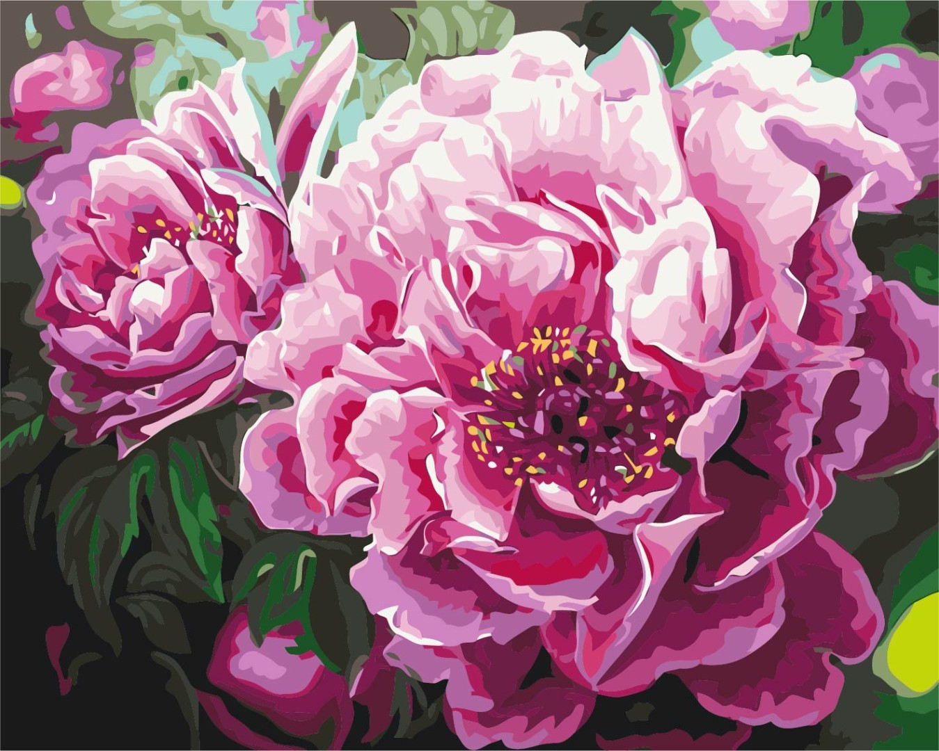 Premium Paint by Numbers “Luxurious peonies”