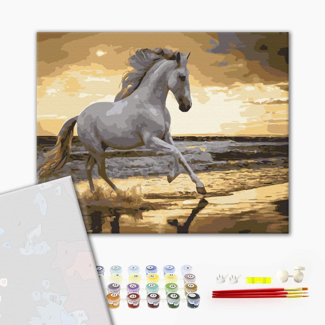 Premium Paint by Numbers “Running at a Trot on the Coast”