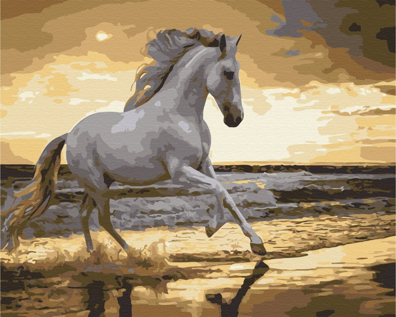 Premium Paint by Numbers “Running at a Trot on the Coast”